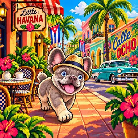 Polaroid: Hermie in Little Havana, Miami